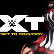 FULL CONTENT & Artwork for WWE NXT 'From Secret to Sensation' DVD wdnfeat_nxtsecretbal